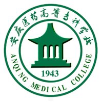 以信息技术助力职业与成人云顶App游