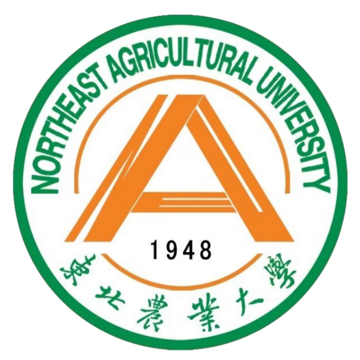 皖公网安备案34019202000394