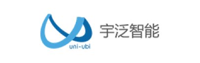 大数据分析的管理与服务